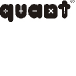 Quant ELSS Tax Saver Fund Direct (G)